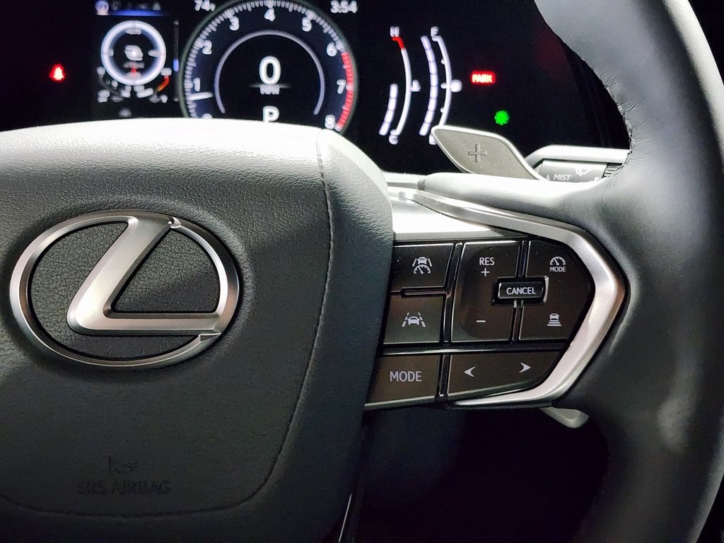 2025 Lexus RX 350 photo 14