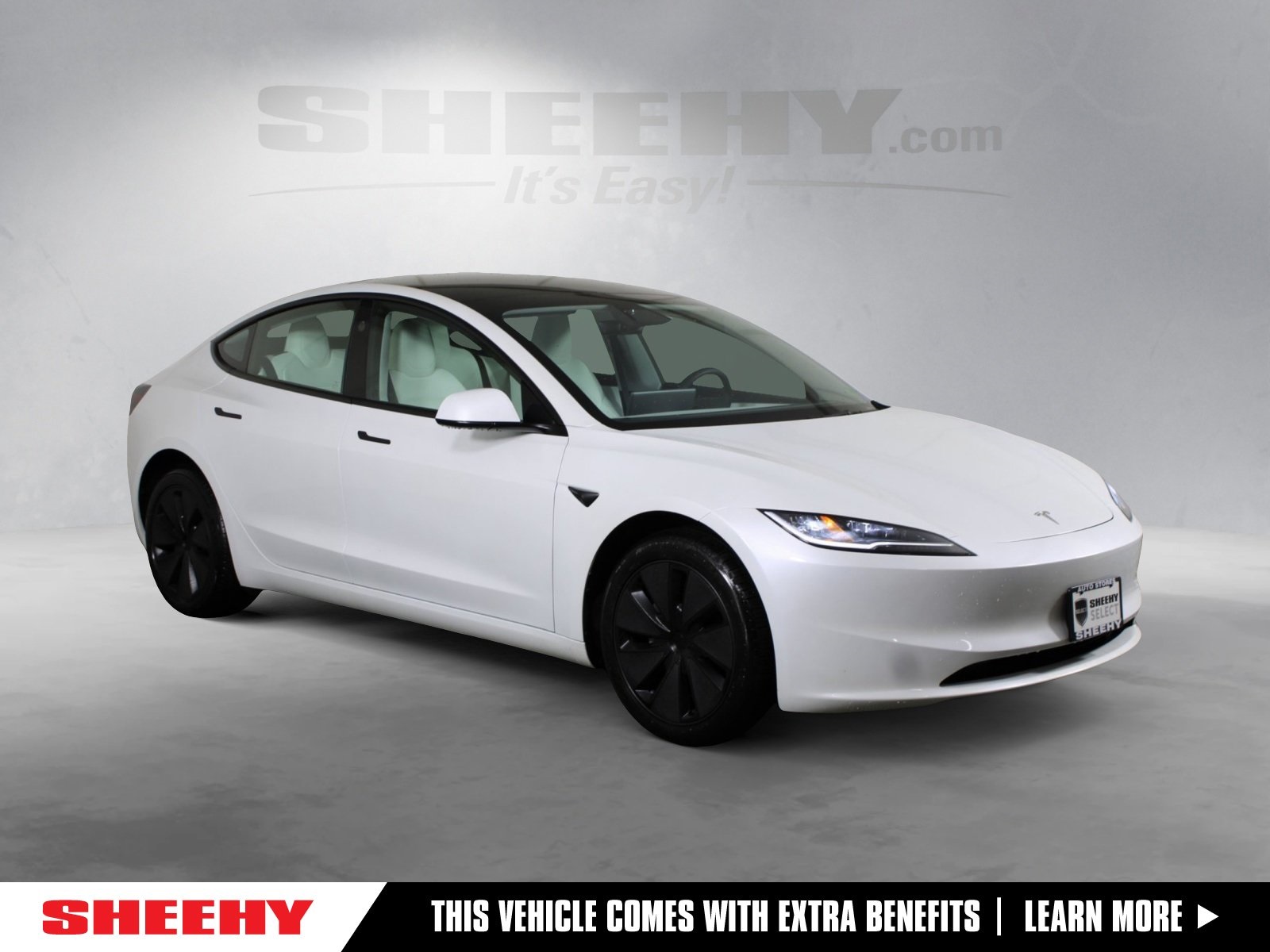 2025 Tesla Model 3 Performance's photo