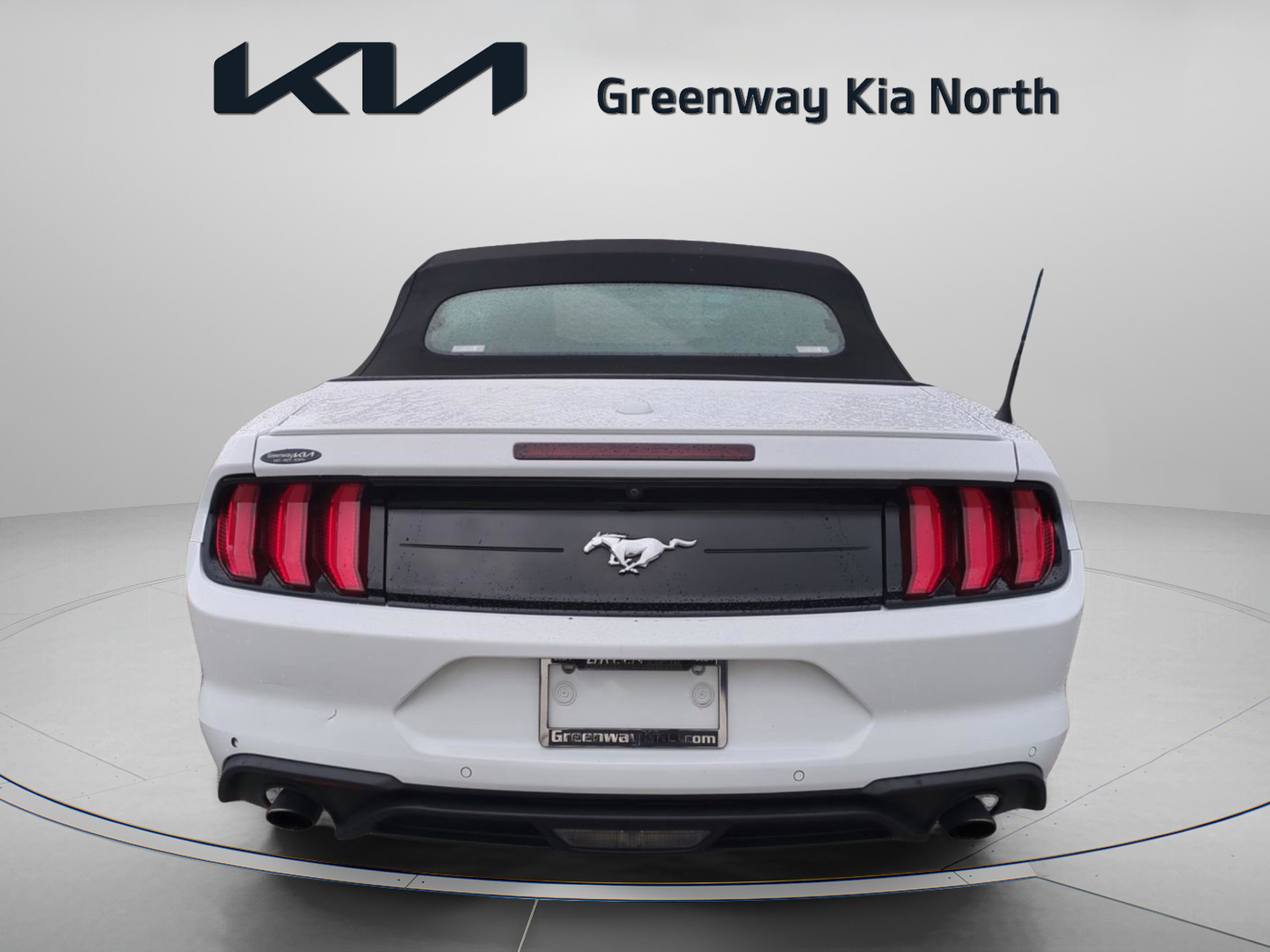 2022 Ford Mustang EcoBoost Premium photo 6
