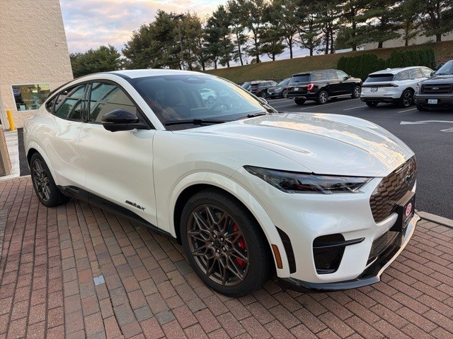 2025 Ford Mustang Mach-E GT AWD's photo