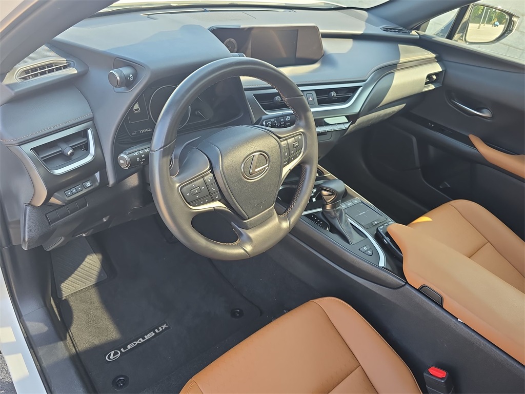 2022 Lexus UX 250h photo 16