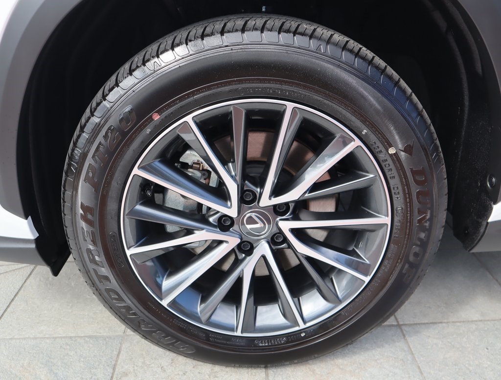 2025 Lexus NX 250 photo 8