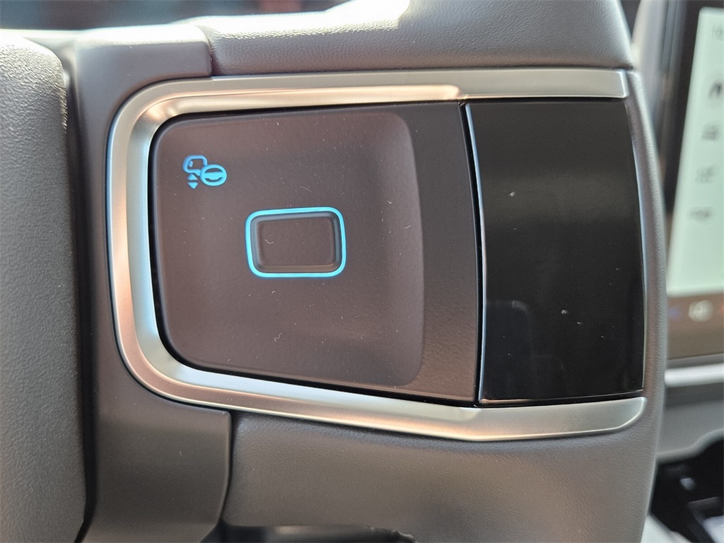 2025 Ford Expedition photo 19