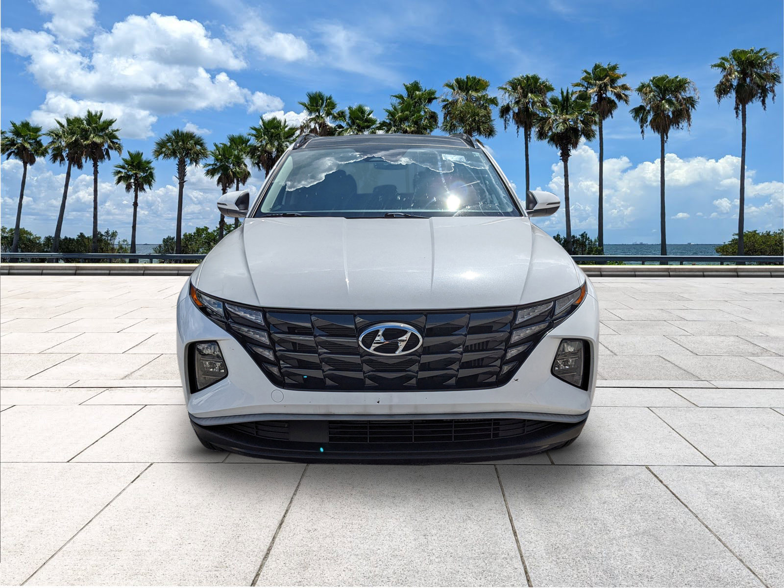 2024 Hyundai Tucson Hybrid SEL Convenience photo 3
