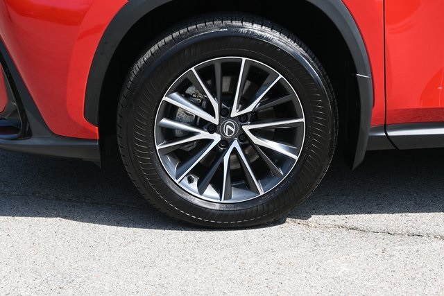 2024 Lexus NX 250 Premium photo 14