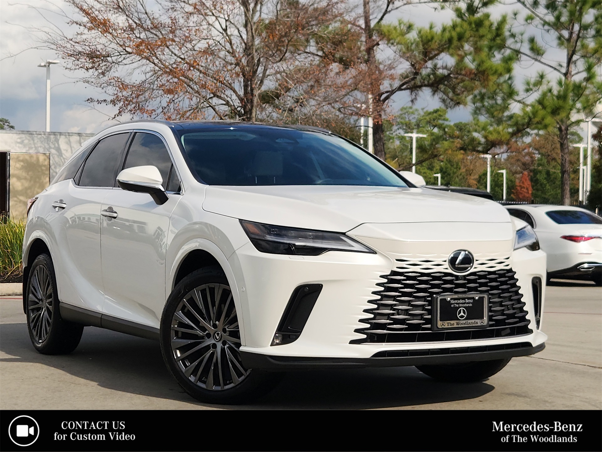 2023 Lexus RX 350's photo