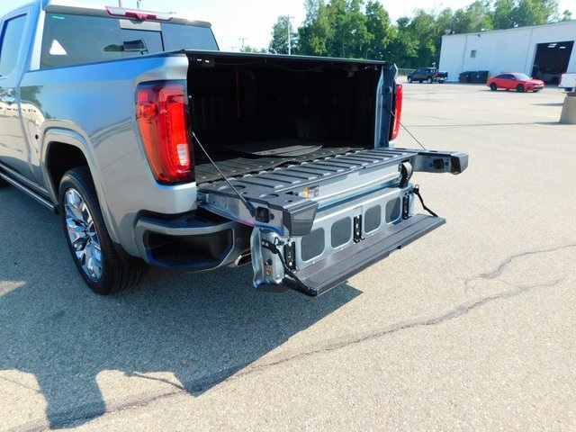 2024 Gmc Sierra 1500 Denali photo 8