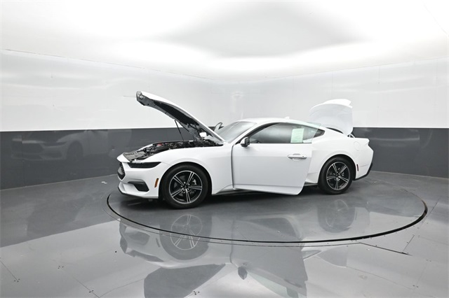 2025 Ford Mustang EcoBoost photo 35