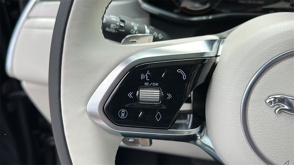2026 Jaguar F-PACE P250 R-Dynamic S photo 14