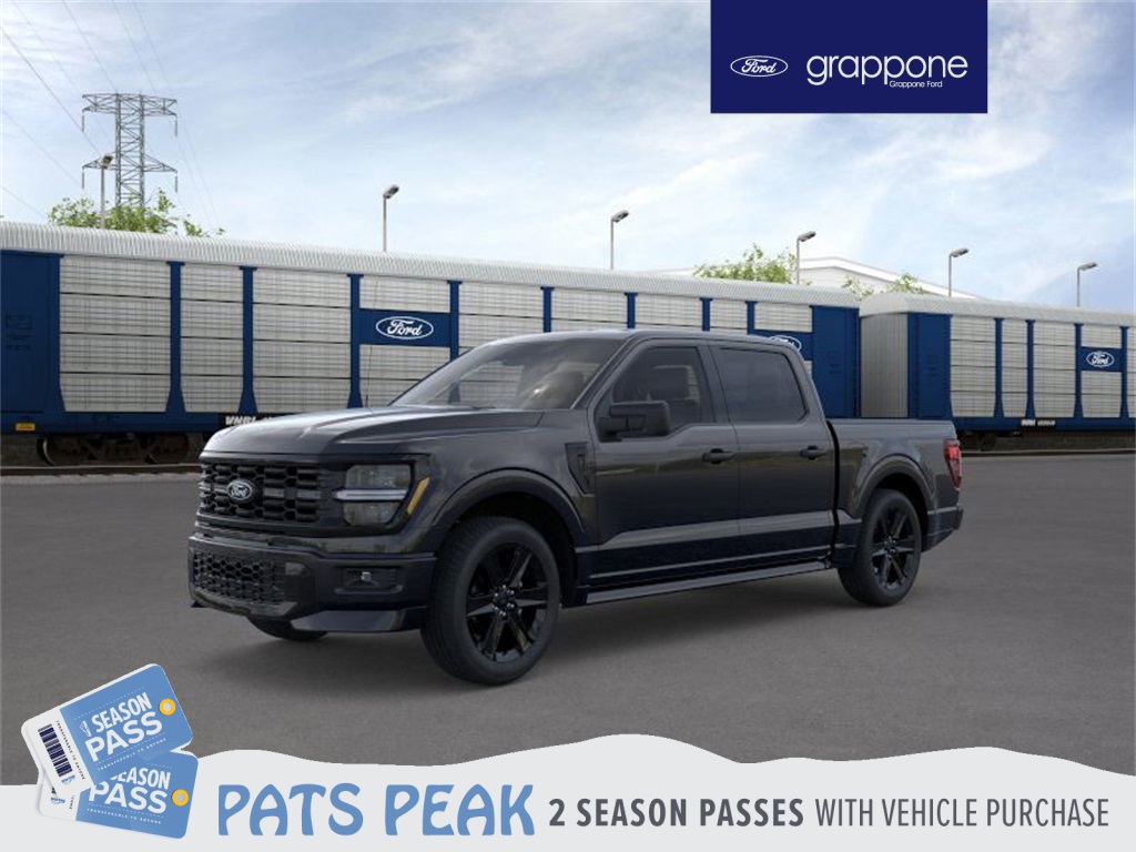 2025 Ford F-150 STX's photo