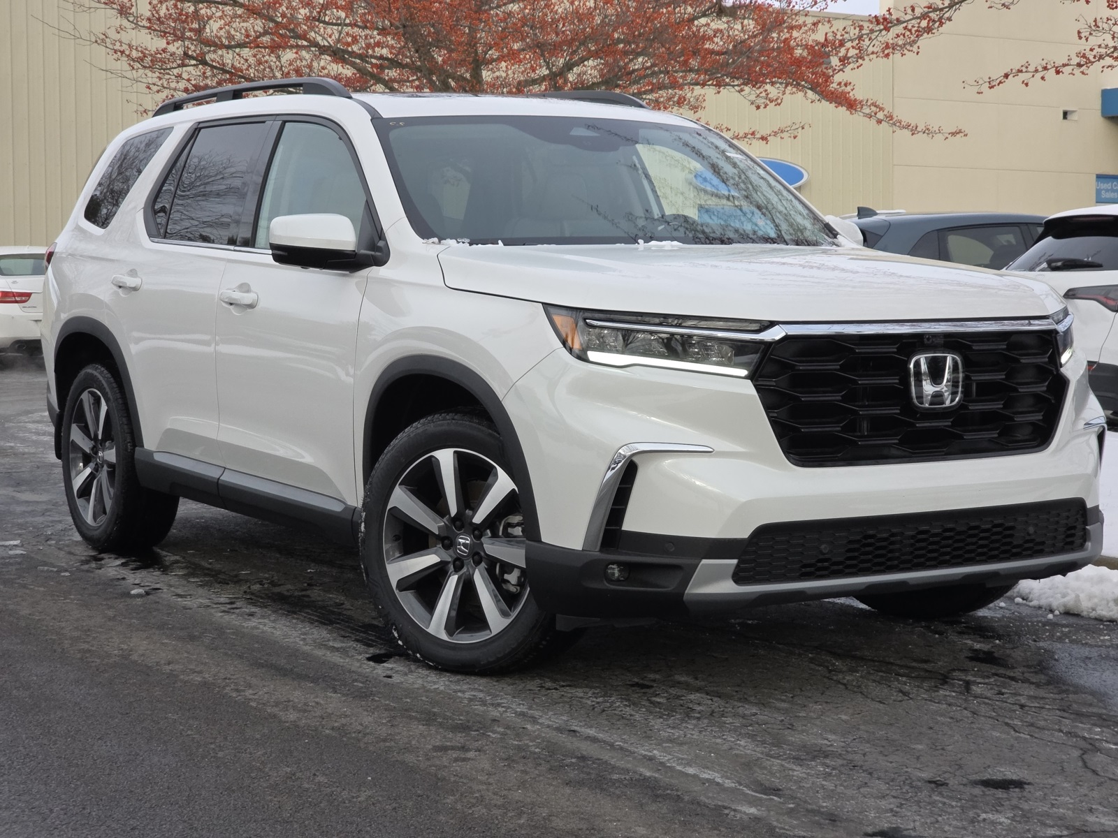 2025 Honda Pilot Elite's photo