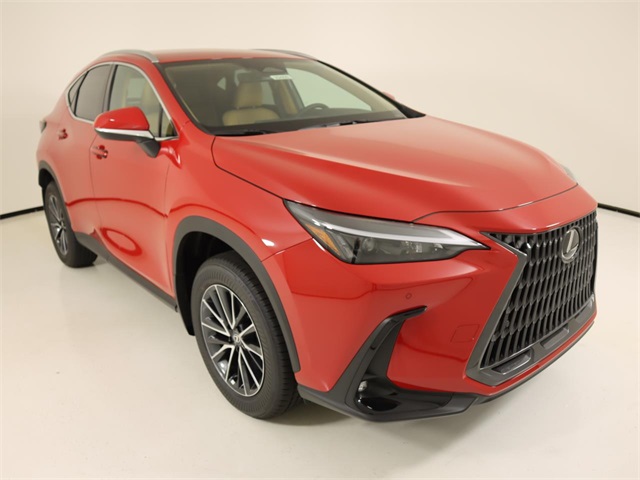 2025 Lexus NX 250 photo 6