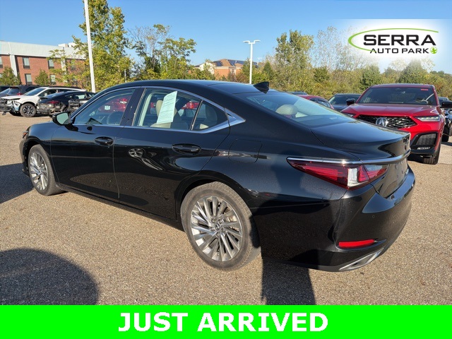 2019 Lexus ES 350 Luxury photo 4