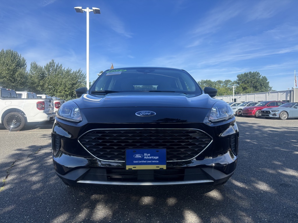 2022 Ford Escape SE photo 3