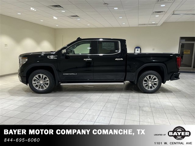 2025 Gmc Sierra 1500 Denali photo 2