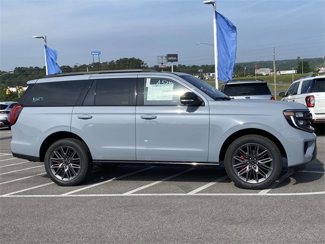 2025 Ford Expedition Platinum photo 3