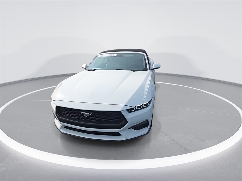 2024 Ford Mustang EcoBoost Premium photo 3