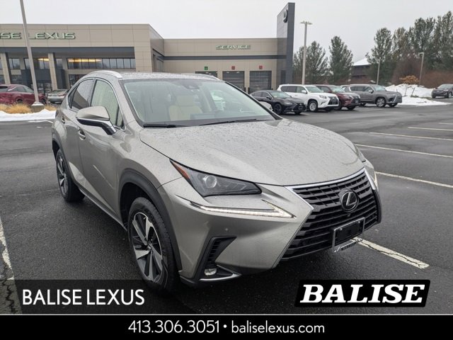 2021 Lexus NX 300's photo