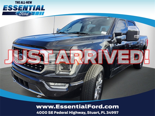 2023 Ford F-150 Platinum's photo
