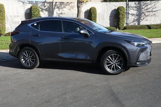 2022 Lexus NX 350h photo 3