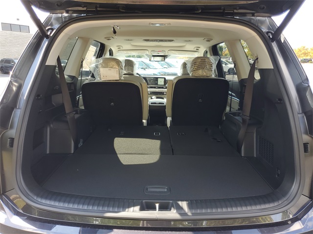 2025 Kia Telluride EX photo 7