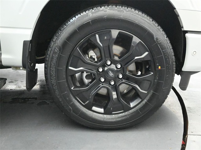 2023 FORD F-150 - Image 30