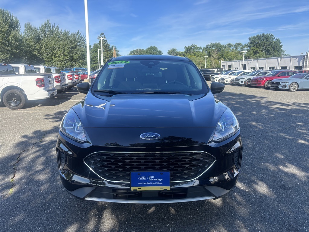 2022 Ford Escape SE photo 2
