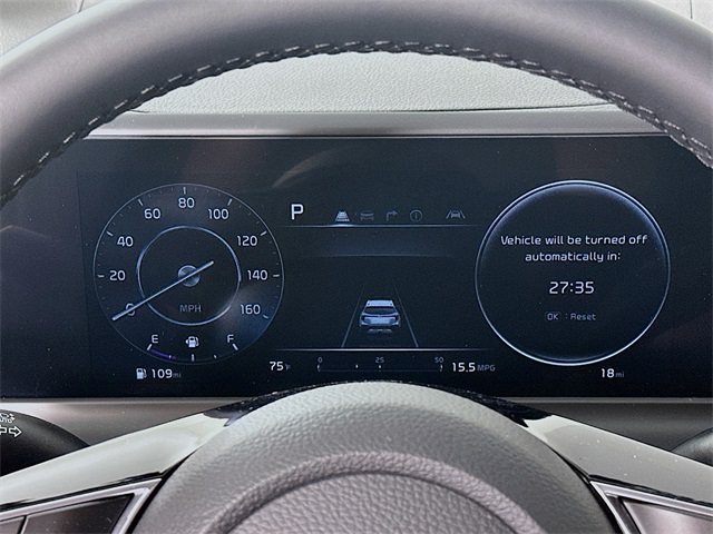 2024 Kia Seltos X-Line photo 12