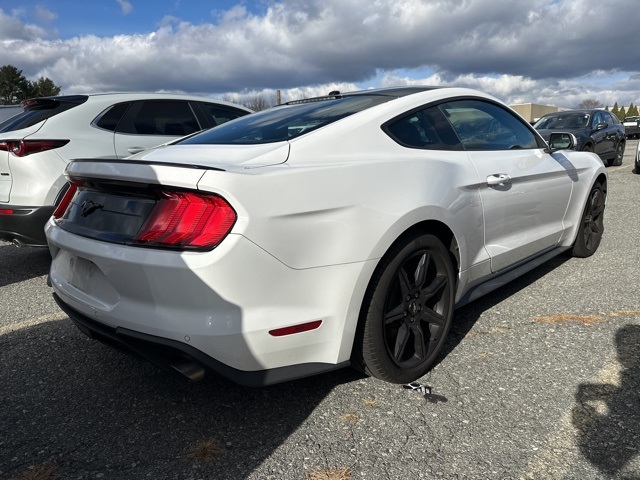 2019 Ford Mustang EcoBoost photo 4
