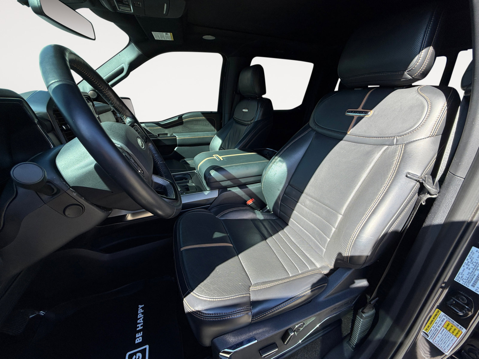 2021 Ford F-150 Platinum photo 10