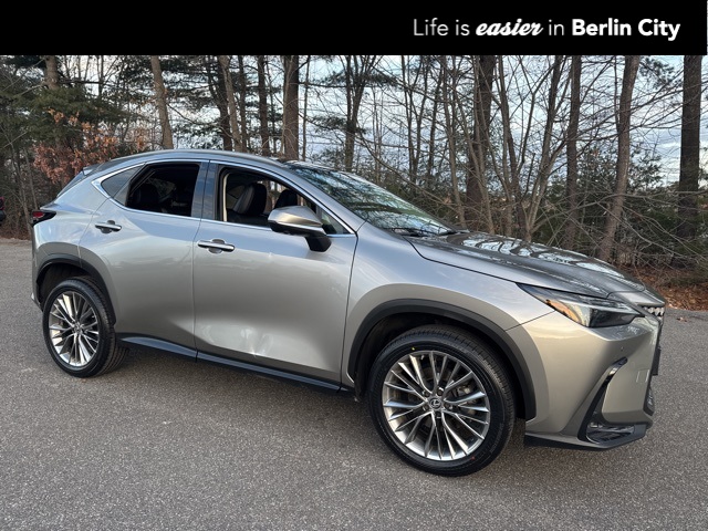 2022 Lexus NX Hybrid 350h's photo