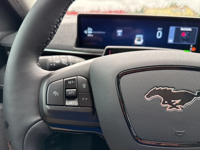 2025 Ford Mustang Mach-E Premium photo 31