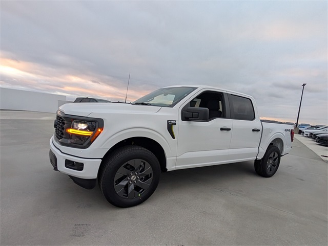 2025 Ford F-150 STX photo 3