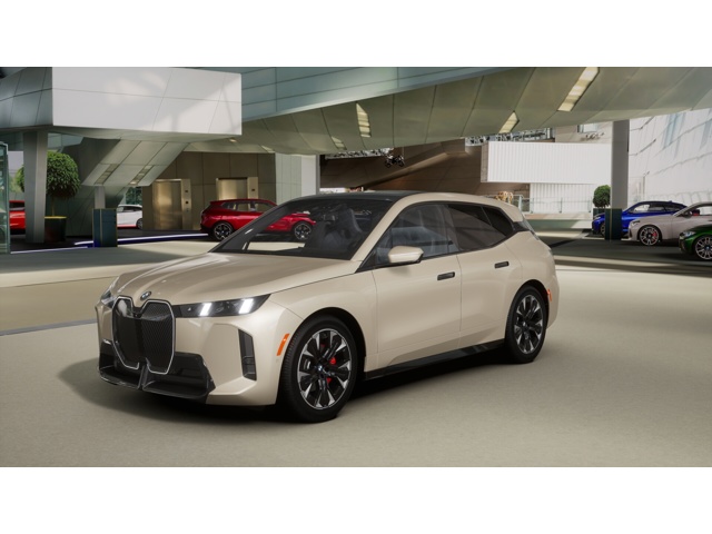 2026 BMW iX 60's photo