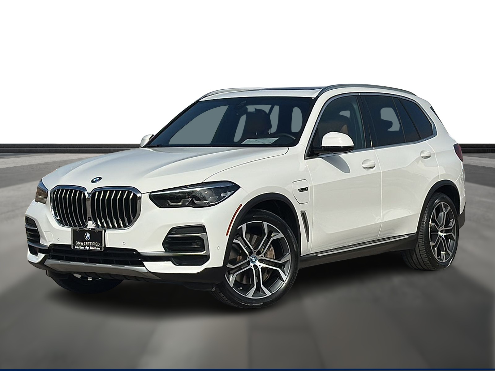 2023 BMW X5 45e's photo