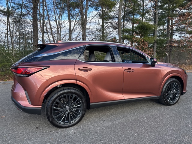 2025 Lexus RX 350h Premium photo 3