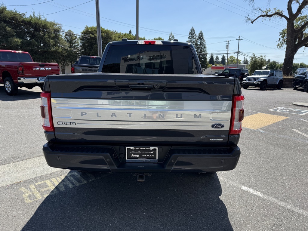 2021 Ford F-150 Platinum photo 3