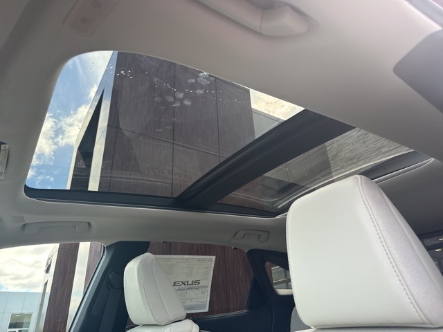 2025 Lexus RX 350 Luxury photo 30