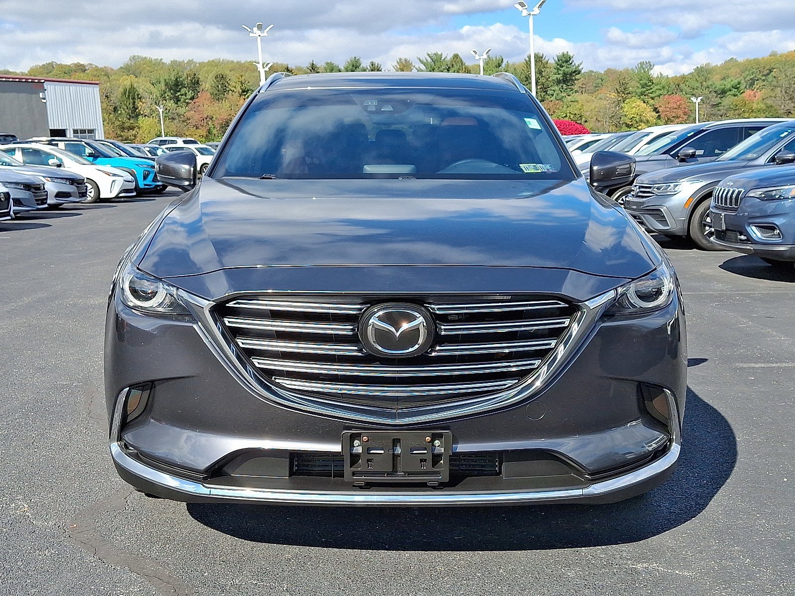 2017 Mazda CX-9 Signature photo 2