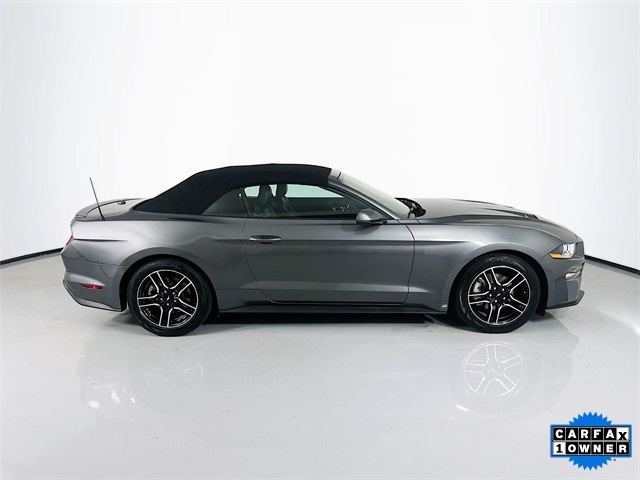 2023 Ford Mustang EcoBoost Premium photo 9