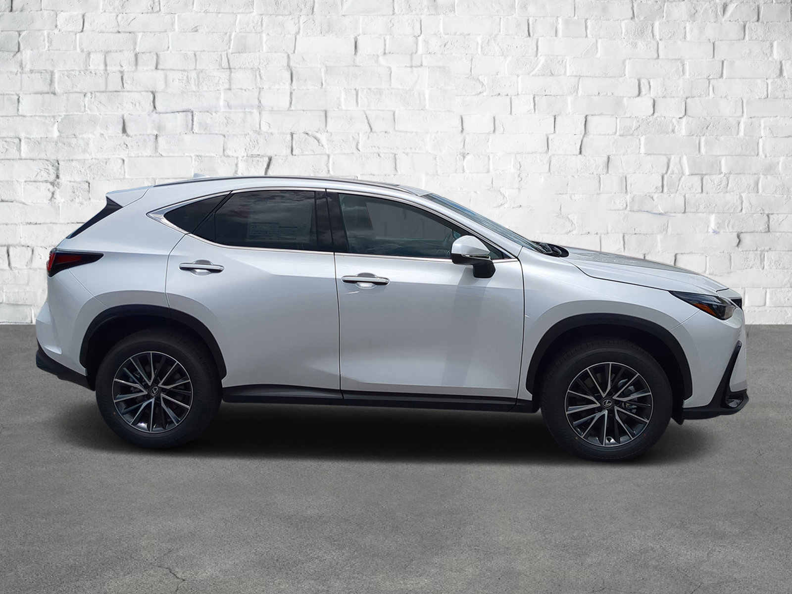 2025 Lexus NX 350h photo 3