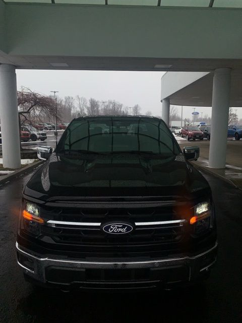 2025 Ford F-150 XLT photo 3