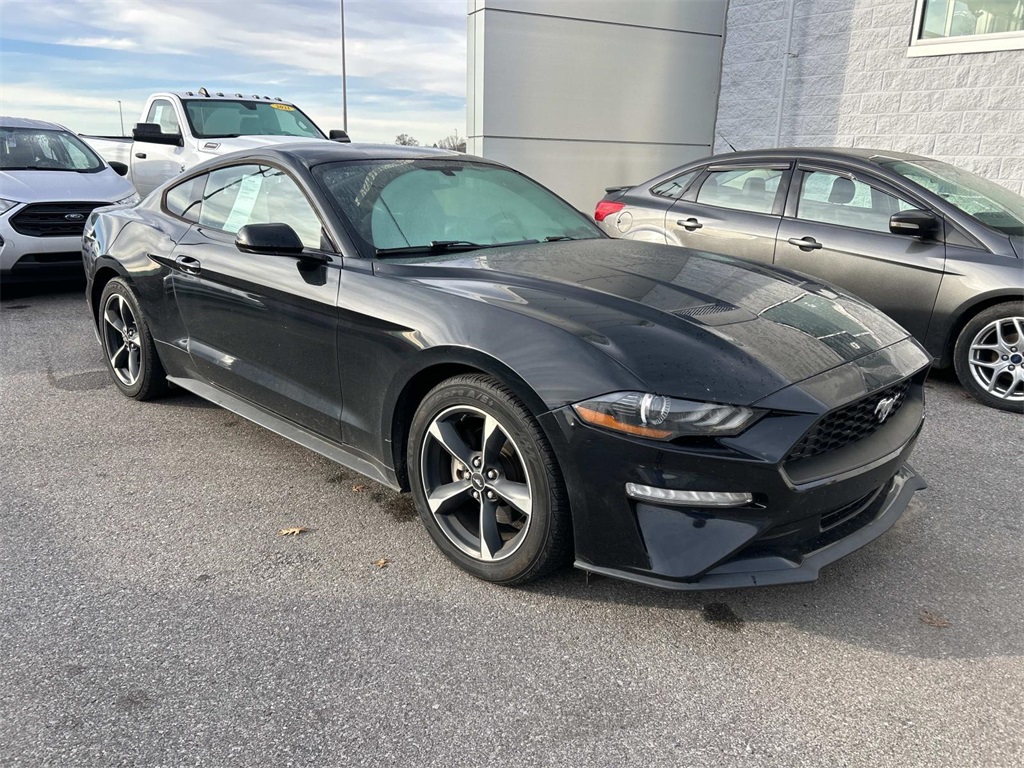 2019 Ford Mustang EcoBoost photo 2