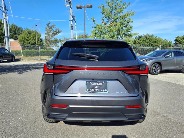 2025 Lexus NX 250 Premium photo 4