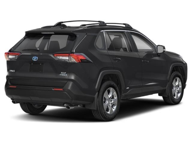 Used 2025 Toyota RAV4 XLE with VIN 2T3RWRFV3SW264051 for sale in Northfield, Minnesota