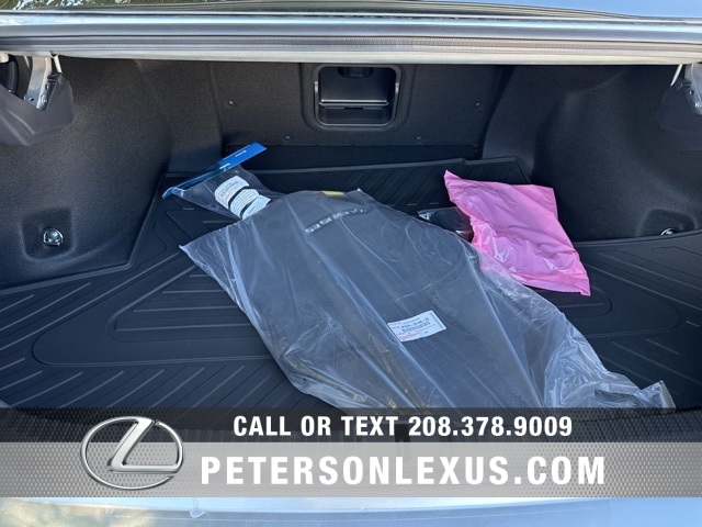 2025 Lexus ES 300h Luxury photo 17
