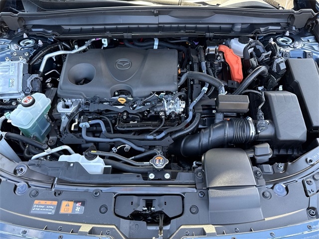 2025 Mazda CX-50 Premium Plus photo 14
