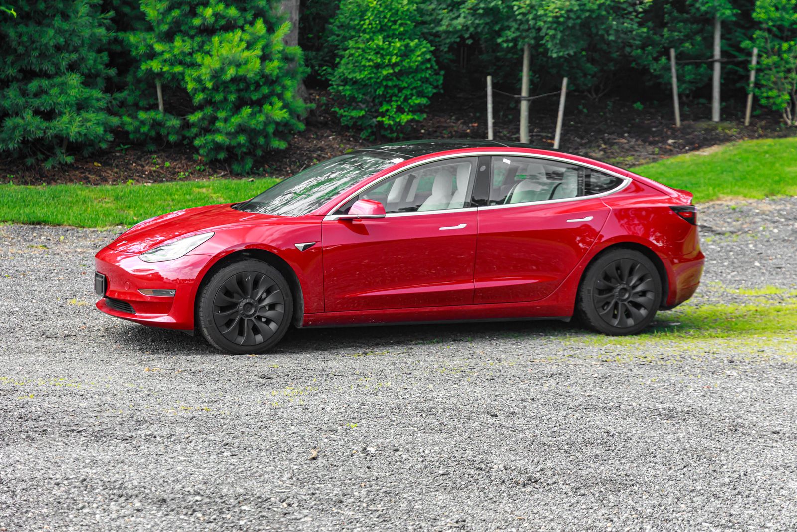 2019 Tesla Model 3 photo 3
