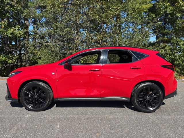 2024 Lexus NX 350 F SPORT Handling photo 6