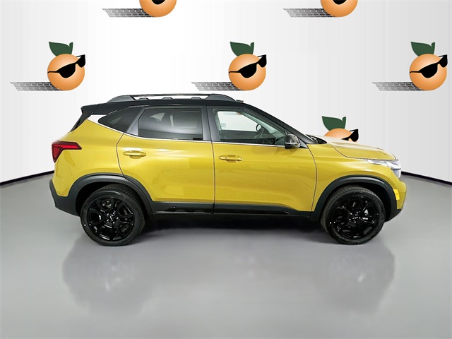 2024 Kia Seltos X-Line photo 8